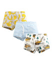 Boys Boxer Briefs Cotton Toddler Kids Underwear Pack of 3 Set 4